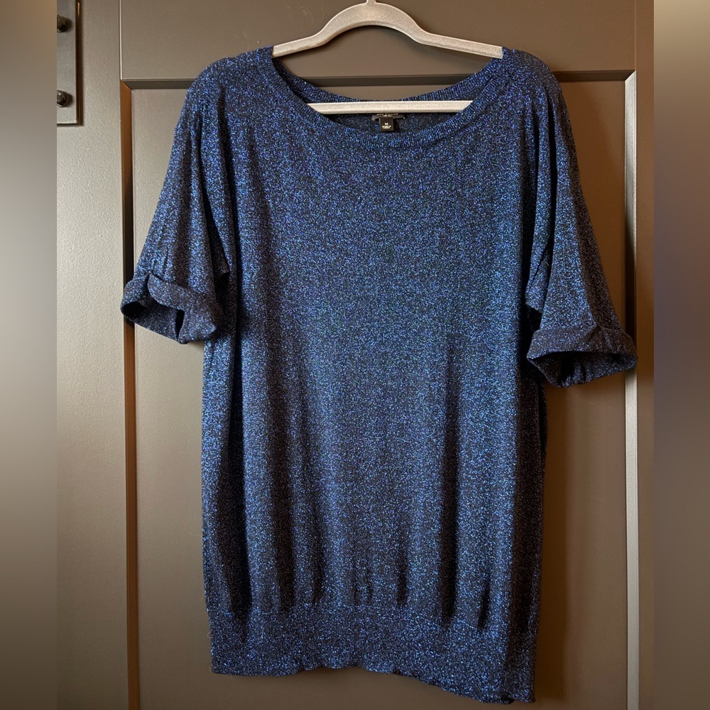 Ann Taylor Midnight Shimmery Blue  & Black Top